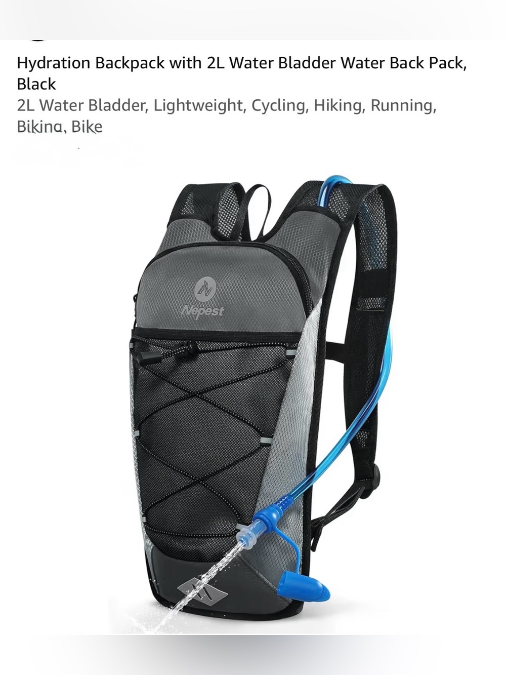 Nepest Gray Hydration Backpack with 2L Bladder